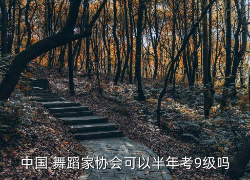 中国 舞蹈家协会可以半年考9级吗