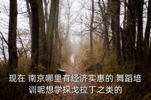 现在 南京哪里有经济实惠的 舞蹈培训呢想学探戈拉丁之类的