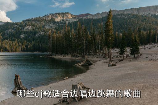哪些dj歌适合边唱边跳舞的歌曲