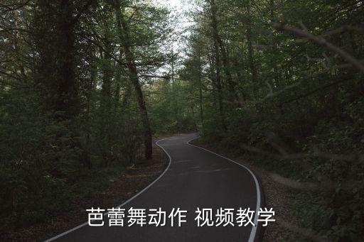 芭蕾舞动作 视频教学