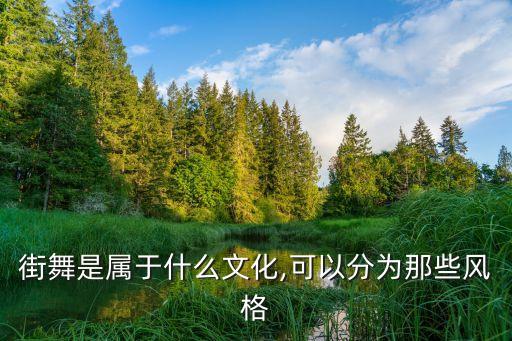 街舞是属于什么文化,可以分为那些风格