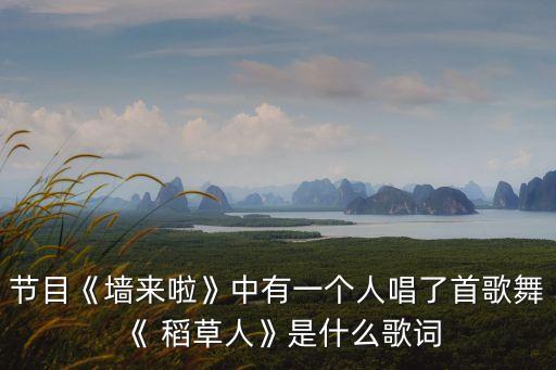 节目《墙来啦》中有一个人唱了首歌舞《 稻草人》是什么歌词