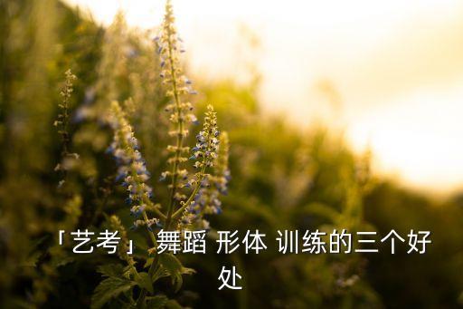 「艺考」 舞蹈 形体 训练的三个好处