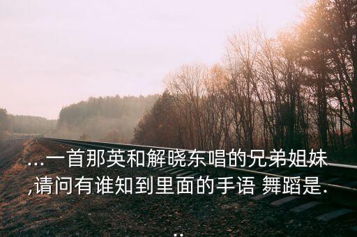 ...一首那英和解晓东唱的兄弟姐妹,请问有谁知到里面的手语 舞蹈是...