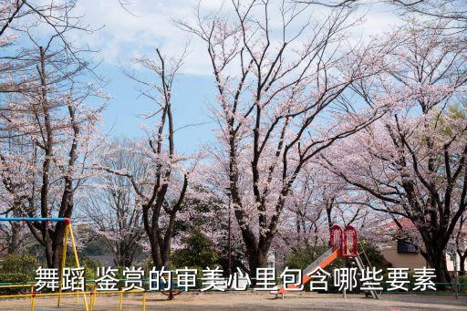  舞蹈 鉴赏的审美心里包含哪些要素