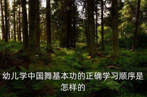 幼儿学中国舞基本功的正确学习顺序是怎样的