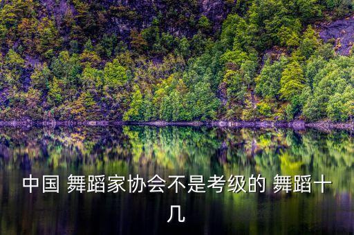 中国 舞蹈家协会不是考级的 舞蹈十几
