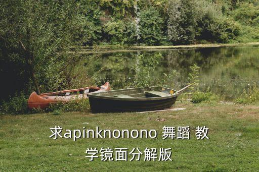 求apinknonono 舞蹈 教学镜面分解版