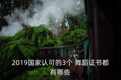 舞蹈考级那个机构的权威,考级舞蹈一级