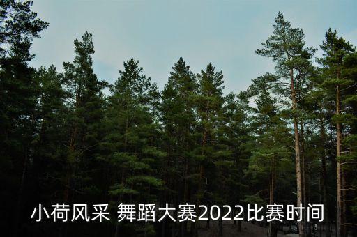 小荷风采 舞蹈大赛2022比赛时间