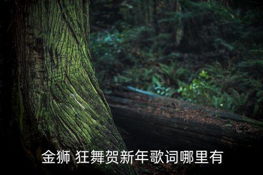  金狮 狂舞贺新年歌词哪里有