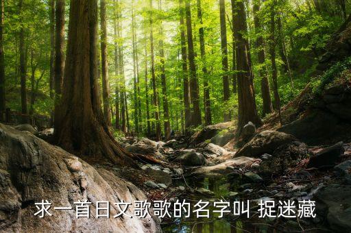 捉迷藏舞蹈视频,春天和我捉迷藏舞蹈视频