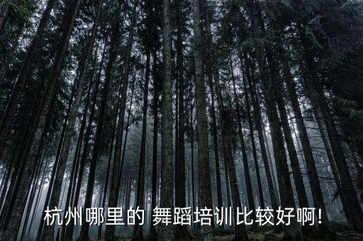幼儿舞蹈暑期班 杭州,舞蹈暑期班一般多长时间