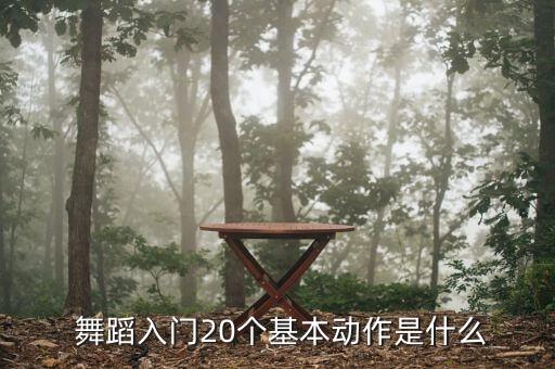  舞蹈入门20个基本动作是什么
