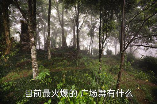 目前最火爆的 广场舞有什么