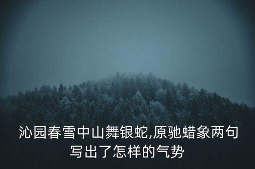 舞蹈沁园春雪图片,沁园春雪舞蹈视频央视