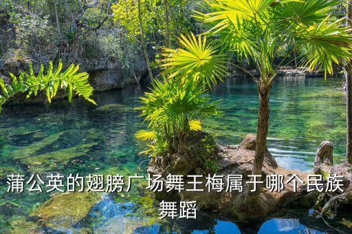 蒲公英的翅膀广场舞王梅属于哪个民族 舞蹈