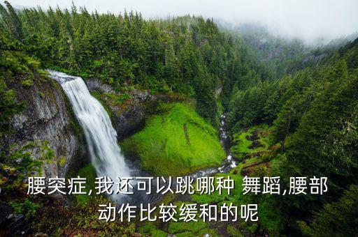 双飞 舞蹈,舞蹈里的双飞转怎么转