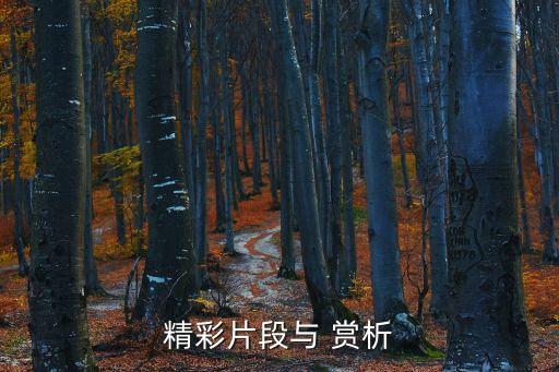 狼图腾 舞蹈赏析,蒙古族舞蹈狼图腾