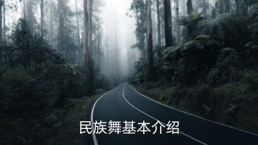 民族舞基本介绍