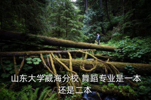  山东大学威海分校 舞蹈专业是一本还是二本