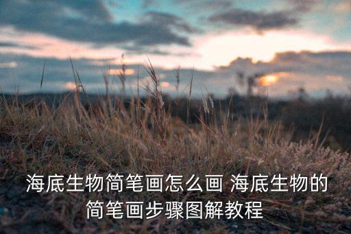  海底生物简笔画怎么画 海底生物的简笔画步骤图解教程