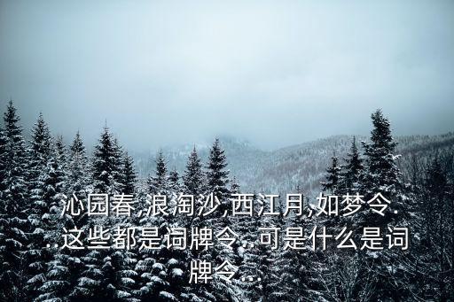 沁园春舞蹈属于什么意思,花发沁园春什么意思
