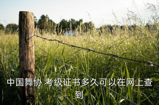 中国舞协 考级证书多久可以在网上查到