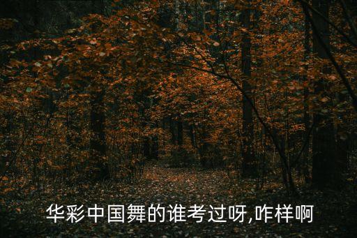  华彩中国舞的谁考过呀,咋样啊