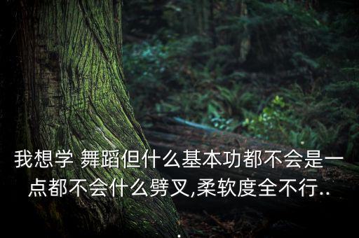 我想学 舞蹈但什么基本功都不会是一点都不会什么劈叉,柔软度全不行...
