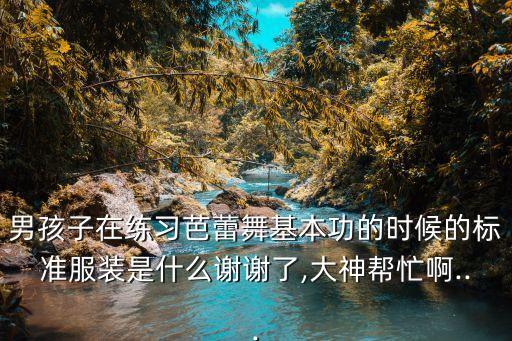 男孩子在练习芭蕾舞基本功的时候的标准服装是什么谢谢了,大神帮忙啊...