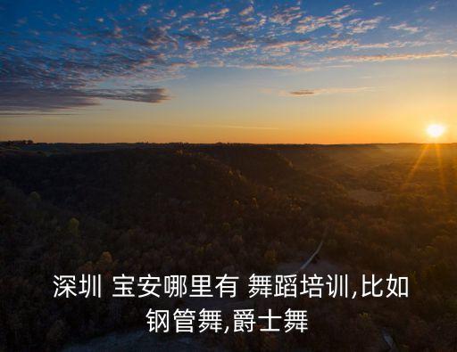 深圳宝安翻身舞蹈学校,宝安翻身学校高中分数线