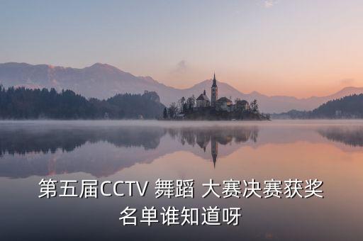 cctv舞蹈大赛流动娃,流动娃广东省少儿舞蹈大赛