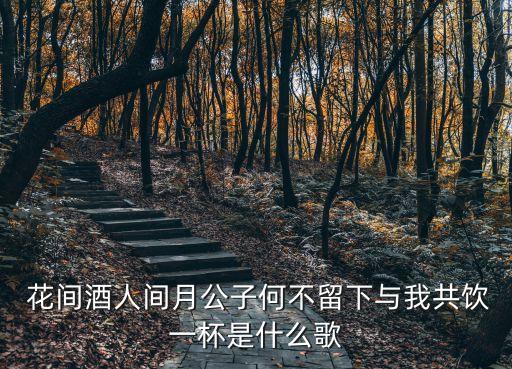  花间酒人间月公子何不留下与我共饮一杯是什么歌