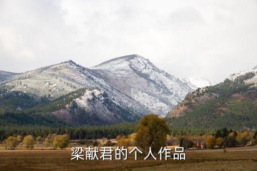 梁献君的个人作品