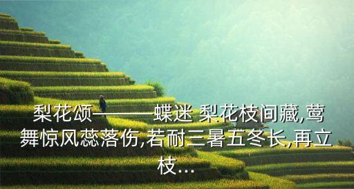  梨花颂———蝶迷 梨花枝间藏,莺舞惊风蕊落伤,若耐三暑五冬长,再立枝...