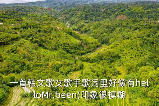 一首韩文歌女歌手歌词里好像有helloMr.been(印象很模糊