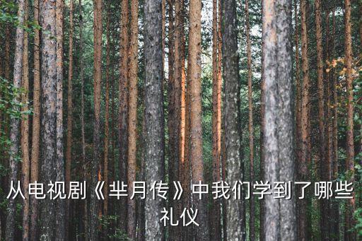 从电视剧《芈月传》中我们学到了哪些礼仪