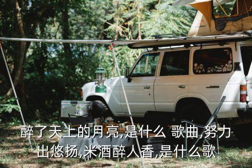 醉了天上的月亮,是什么 歌曲,努力出悠扬,米酒醉人香,是什么歌