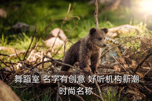  舞蹈室 名字有创意 好听机构新潮时尚名称