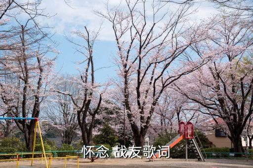 舞蹈 冰山上的战友