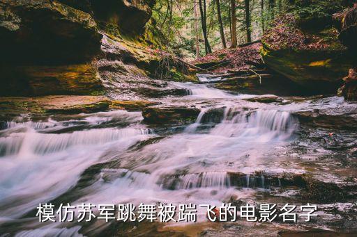 模仿苏军跳舞被踹飞的电影名字