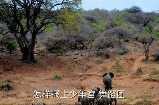 舞蹈欢乐的海洋莲花艺术团