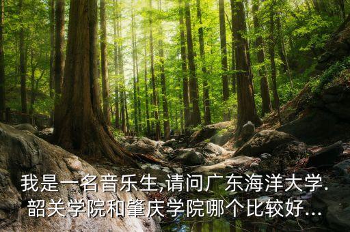 我是一名音乐生,请问广东海洋大学.韶关学院和肇庆学院哪个比较好...