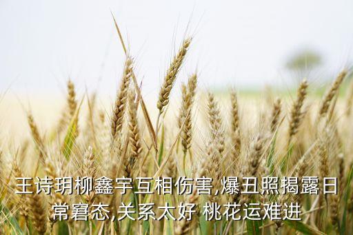 王诗玥柳鑫宇互相伤害,爆丑照揭露日常窘态,关系太好 桃花运难进