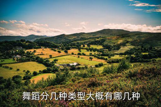 名间舞蹈教体裁形式