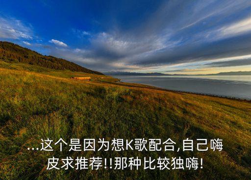 ...这个是因为想K歌配合,自己嗨皮求推荐!!那种比较独嗨!