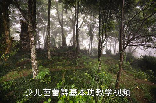 腿外开组合舞蹈,踢前腿组合动作要领舞蹈