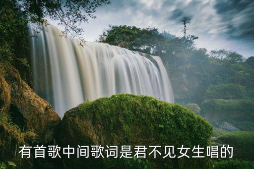 有首歌中间歌词是君不见女生唱的