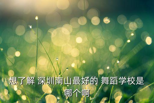 深圳哪里学舞蹈最专业,深圳固戍哪里学舞蹈